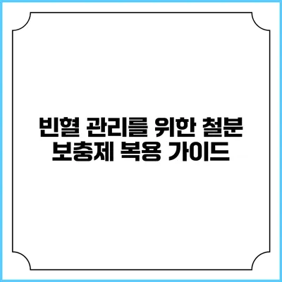 빈혈 관리를 위한 철분 보충제 복용 가이드