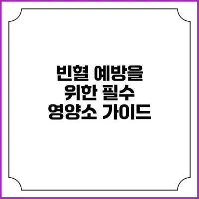 빈혈 예방을 위한 필수 영양소 가이드