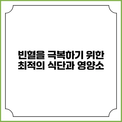 빈혈을 극복하기 위한 최적의 식단과 영양소