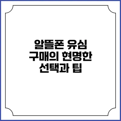 알뜰폰 유심 구매의 현명한 선택과 팁