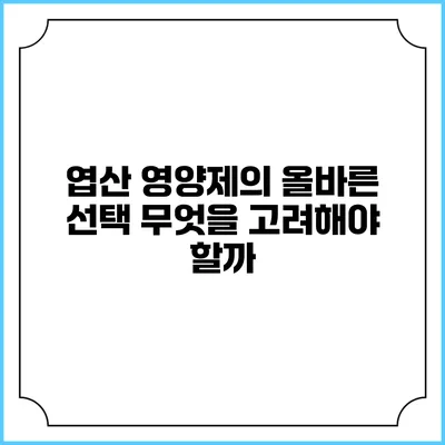 엽산 영양제의 올바른 선택: 무엇을 고려해야 할까?