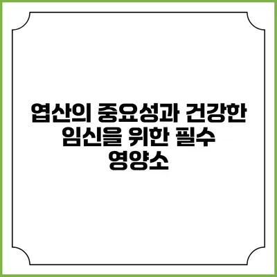 엽산의 중요성과 건강한 임신을 위한 필수 영양소