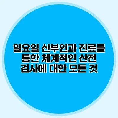 일요일 산부인과 진료를 통한 체계적인 산전 검사에 대한 모든 것