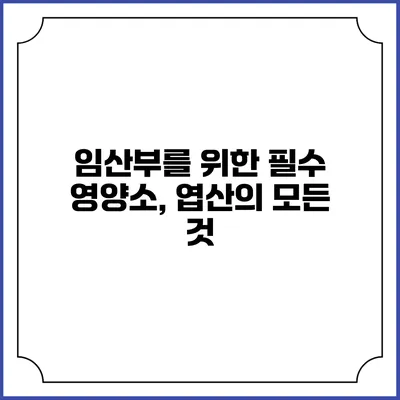 임산부를 위한 필수 영양소, 엽산의 모든 것
