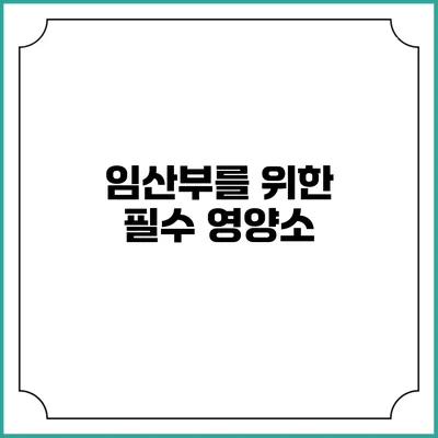 임산부를 위한 필수 영양소