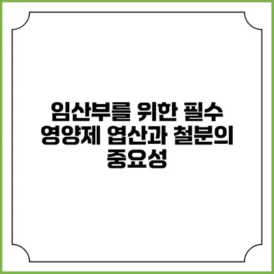 임산부를 위한 필수 영양제: 엽산과 철분의 중요성