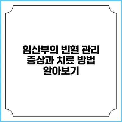 임산부의 빈혈 관리: 증상과 치료 방법 알아보기