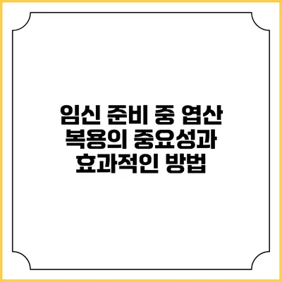 임신 준비 중 엽산 복용의 중요성과 효과적인 방법