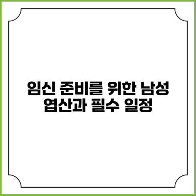 임신 준비를 위한 남성 엽산과 필수 일정