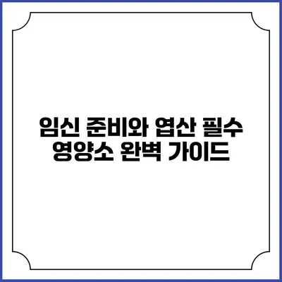 임신 준비와 엽산 필수 영양소 완벽 가이드