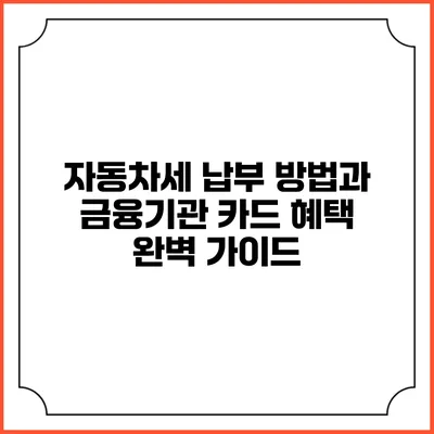 자동차세 납부 방법과 금융기관 카드 혜택 완벽 가이드