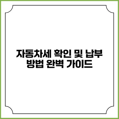 자동차세 확인 및 납부 방법 완벽 가이드