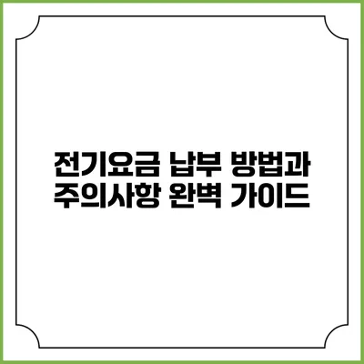 전기요금 납부 방법과 주의사항 완벽 가이드