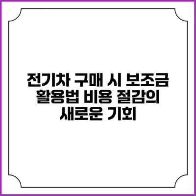 전기차 구매 시 보조금 활용법: 비용 절감의 새로운 기회