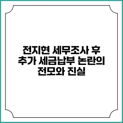 전지현 세무조사 후 추가 세금납부 논란의 전모와 진실