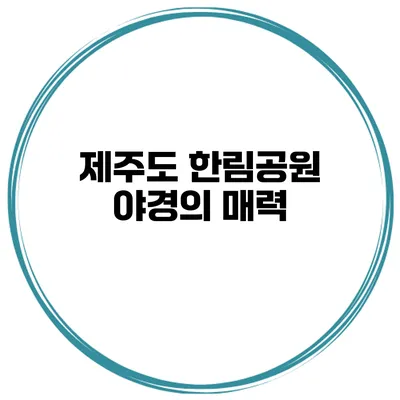 제주도 한림공원 야경의 매력