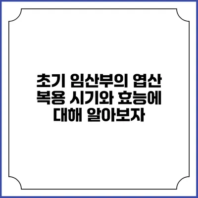 초기 임산부의 엽산 복용 시기와 효능에 대해 알아보자