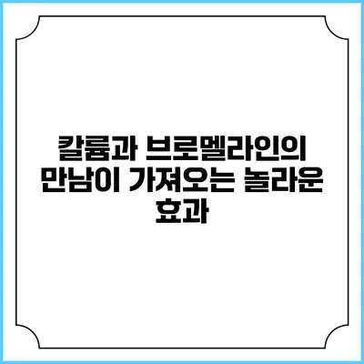 칼륨과 브로멜라인의 만남이 가져오는 놀라운 효과