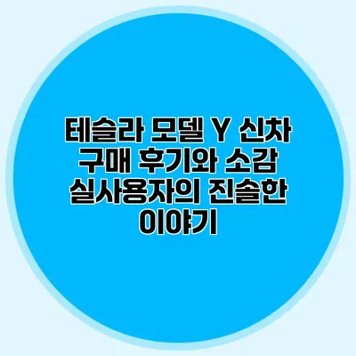 테슬라 모델 Y 신차 구매 후기와 소감: 실사용자의 진솔한 이야기