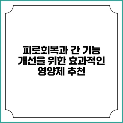 피로회복과 간 기능 개선을 위한 효과적인 영양제 추천