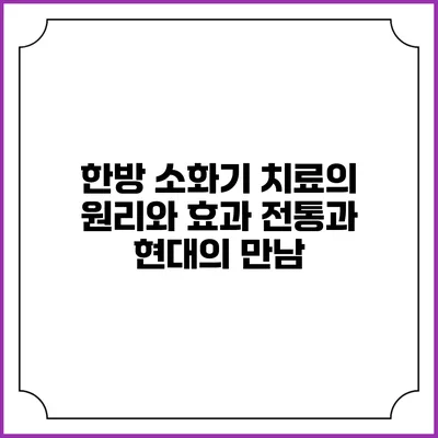 한방 소화기 치료의 원리와 효과: 전통과 현대의 만남