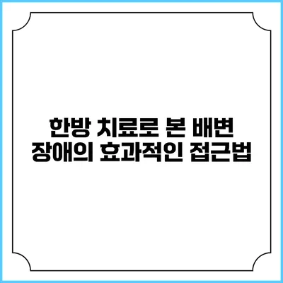 한방 치료로 본 배변 장애의 효과적인 접근법