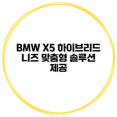 BMW X5 하이브리드 니즈 맞춤형 솔루션 제공