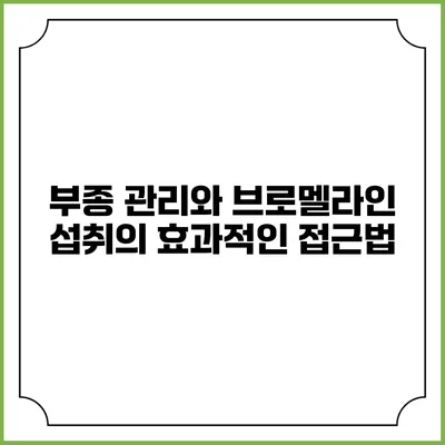 부종 관리와 브로멜라인 섭취의 효과적인 접근법