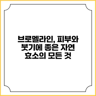 브로멜라인, 피부와 붓기에 좋은 자연 효소의 모든 것