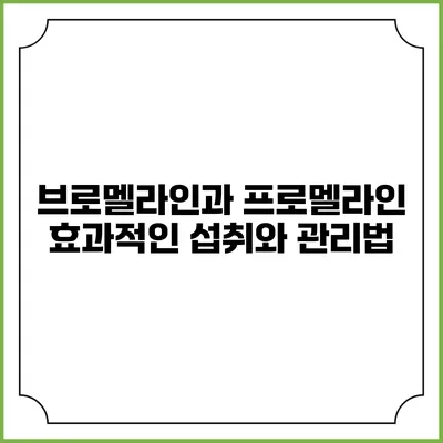 브로멜라인과 프로멜라인: 효과적인 섭취와 관리법
