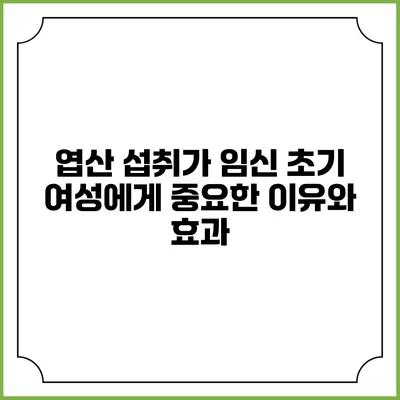 엽산 섭취가 임신 초기 여성에게 중요한 이유와 효과
