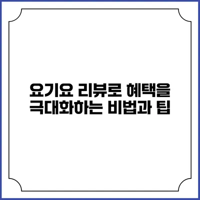 요기요 리뷰로 혜택을 극대화하는 비법과 팁