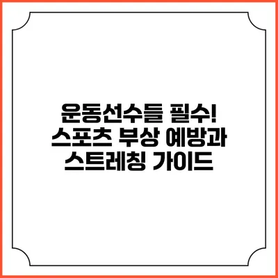 운동선수들 필수! 스포츠 부상 예방과 스트레칭 가이드