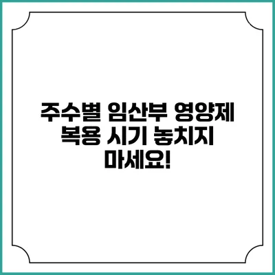주수별 임산부 영양제 복용 시기 놓치지 마세요!
