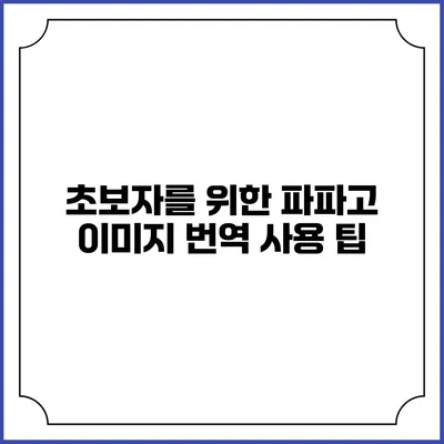 초보자를 위한 파파고 이미지 번역 사용 팁