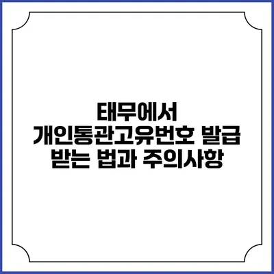 태무에서 개인통관고유번호 발급 받는 법과 주의사항