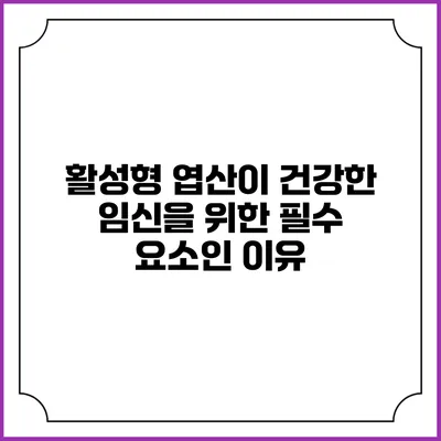 활성형 엽산이 건강한 임신을 위한 필수 요소인 이유